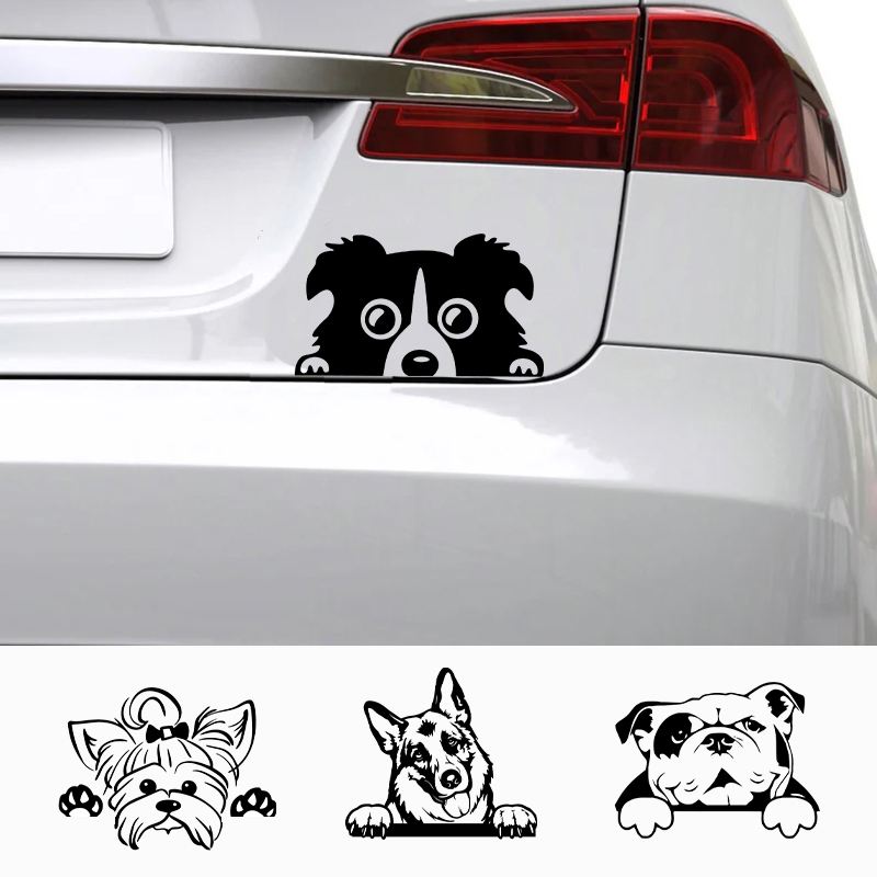 Interior Design Magazine - Decalcomanie per accessori per auto Cane
