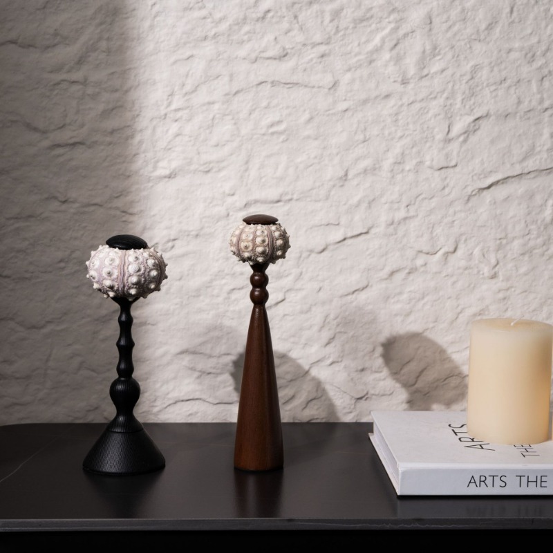 Scultura creativa di conchigli - Interior Design Exhibition recensione e prezzo